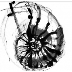 Calligraphie "Ammonite" par Yves Dimier